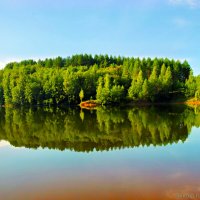 озеро,отражение,Бокситогорск :: Laryan1 