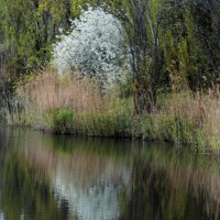 ВесеннийПейзаж :: Валентин Семчишин