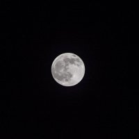 Луна. :: Станислав Мутовин