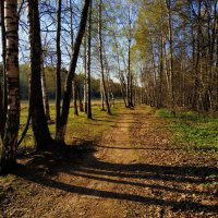 Апрельское :: Андрей Лукьянов