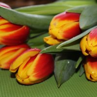 Букетик очаровательных тюльпанов .. :: Татьян@ Ивановна
