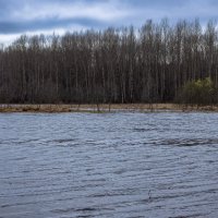 Bolshoy Puchkas River on a cloudy April day :: Sergey Sonvar