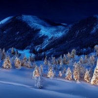 Зима :: Роман Савоцкий