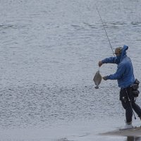 не перевелась рыба в местных водах ! :: Petr @+