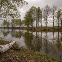 На озере. :: Андрей Андрианов