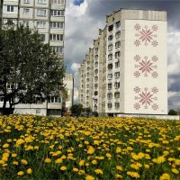 Уличные цветы :: Геннадий Худолеев Худолеев