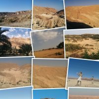 Горы Израиля. Коллаж. :: Светлана Хращевская