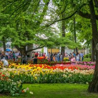 Цветы в парке города Гомель :: Игорь Сикорский