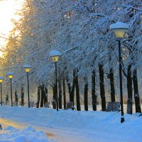 парк  зимой :: Владимир иванов