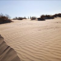 Дюны в Анапе :: Надежда 