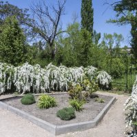 Цветы ботанического  сада :: Валентин Семчишин