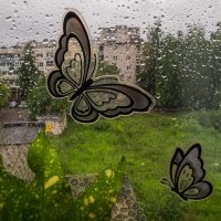 На улице дождь... :: Александр 