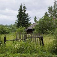 этюд с забором :: Александр 