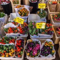 Цветочный рынок в Амстердаме :: Alex Chilaj