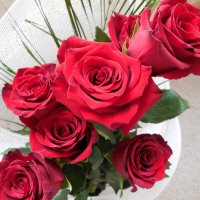 21 мая -Всемирный день розы! :: Надежда 