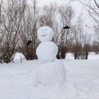 Весёлый снеговик :: Anna Ivanova