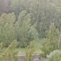 дождь и ветер :: Владимир 