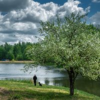 Май :: Владимир Колесников