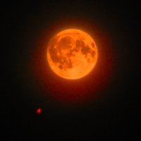 Луна - Антарес (сейчас) :: Alisa Koteva 