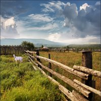 Лето в деревне :: Виктор Перякин