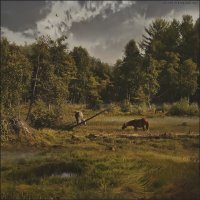 Лошади на болоте :: Виктор Перякин