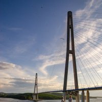 Мост на остров Русский :: Лада Полянская