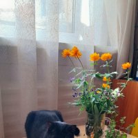 Любительница цветов . :: Мила Бовкун