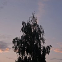 Отражение заката в облаках. :: сергей 