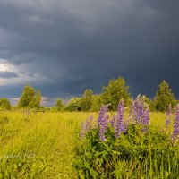 Грозовое небо :: Александр Синдерёв