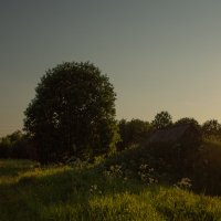 закат в деревне :: Татьяна Соколова