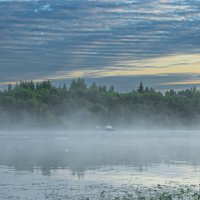 June morning near the Sukhona River | 12 :: Sergey Sonvar