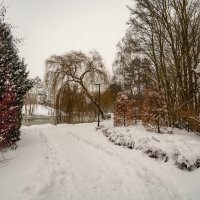 В парке зима :: Николай Гирш
