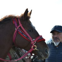 Конь и его хозяин. :: Андрей Хлопонин
