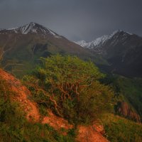 Ущелье Шамси на закате 4. Кыргызстан. :: Дмитрий Шишкин