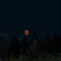 Луна :: Анатолий Бушуев