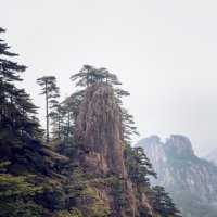 Желтые горы, Китай :: Дмитрий 