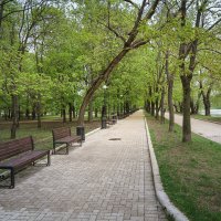 В весеннем парке... :: Сергей Кичигин