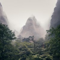 Желтые горы Китая :: Дмитрий 