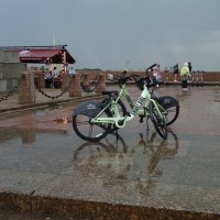 велосипеды дождя не боятся :: sv.kaschuk 