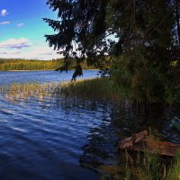 утро с лодочкой :: M Marikfoto