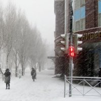 в моём городе апрельский   снегопад....  (вспомним прохладный снег?) :: galalog galalog