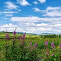 Забайкальские дали. :: Николай Жуков