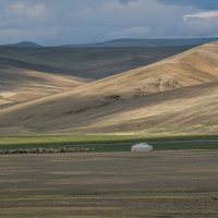 Просторы Монголии. Стада и юрты пастухов :: Galina 