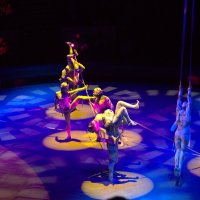Акробаты на арене цирка :: Танзиля Завьялова