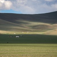 Монголия. Бескрайние просторы и стада :: Galina 