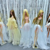 Шоу бизнес в куклах :: Светлана Яковлева