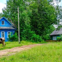 В селе Красное :: Георгий А