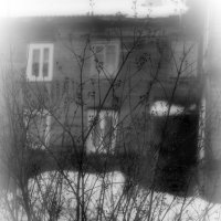 За окном. :: Sergey ///