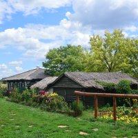 Донские казаки и жизнь на Дону. :: Виктор 