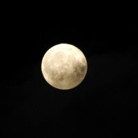 Луна :: Юлия Кучеренко